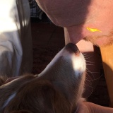 noses.jpg