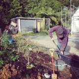 planting.jpg