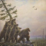 bears.jpg