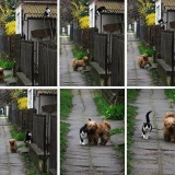 buddies.jpg