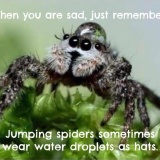 hats.jpg