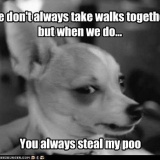 theft.jpg
