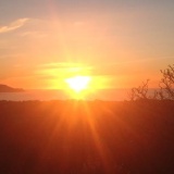 garden_sunset.jpg