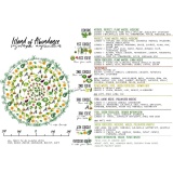 Island of Abundance